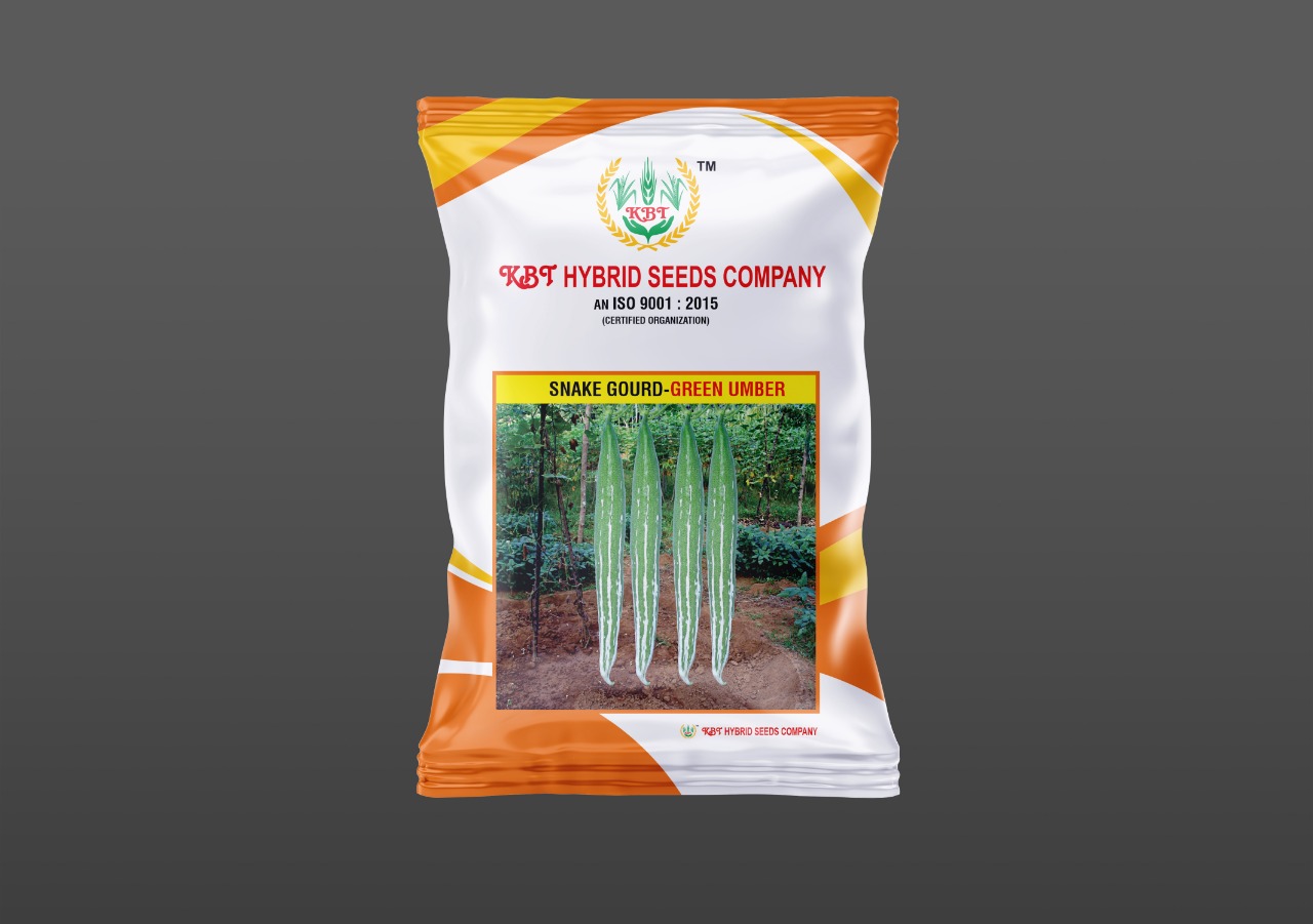 SNAK GOURD चिचिण्डा - GREEN UMBER 50g